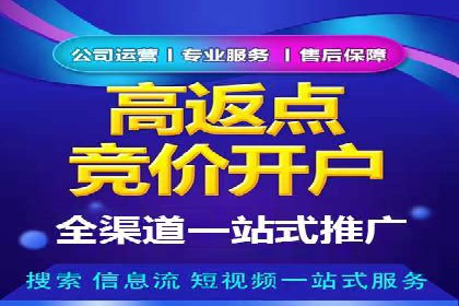 百度推广全攻略：成功案例剖析